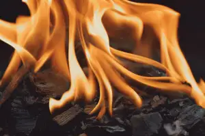 Scorch